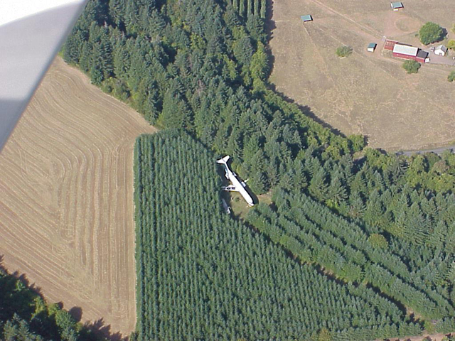 비행기에서 사는 남자.jpg9