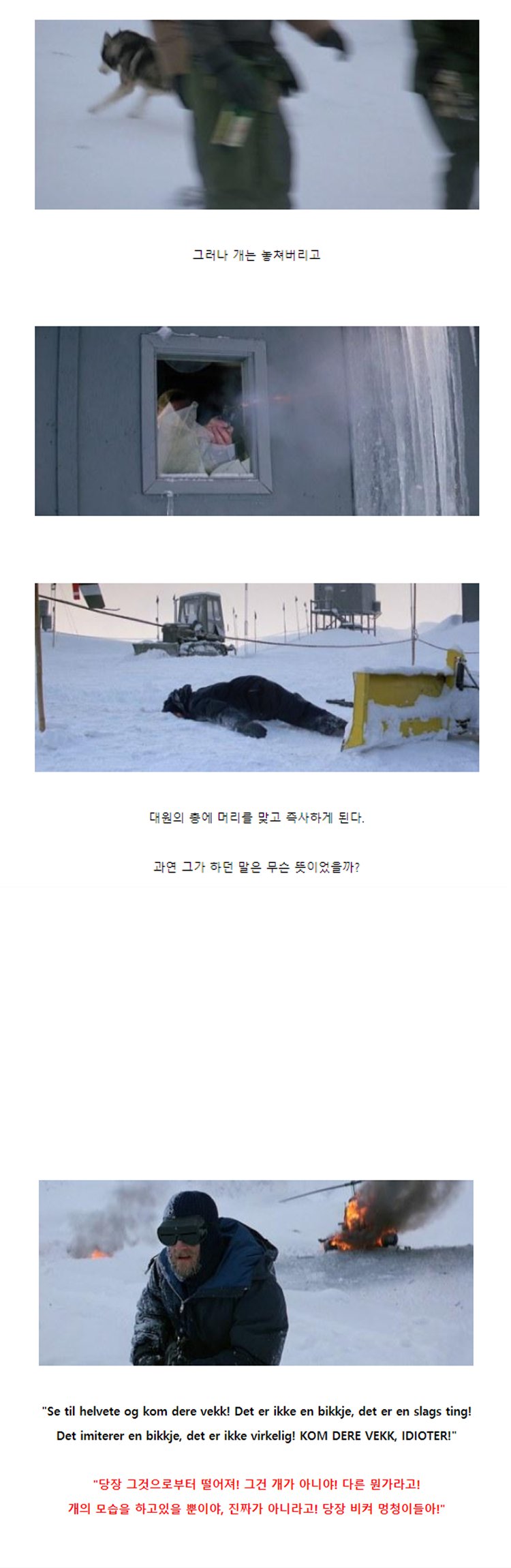 외국어 공부 하나 쯤은 꼭 해야 하는 이유2