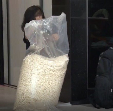 아이의....놀이감....jpg1