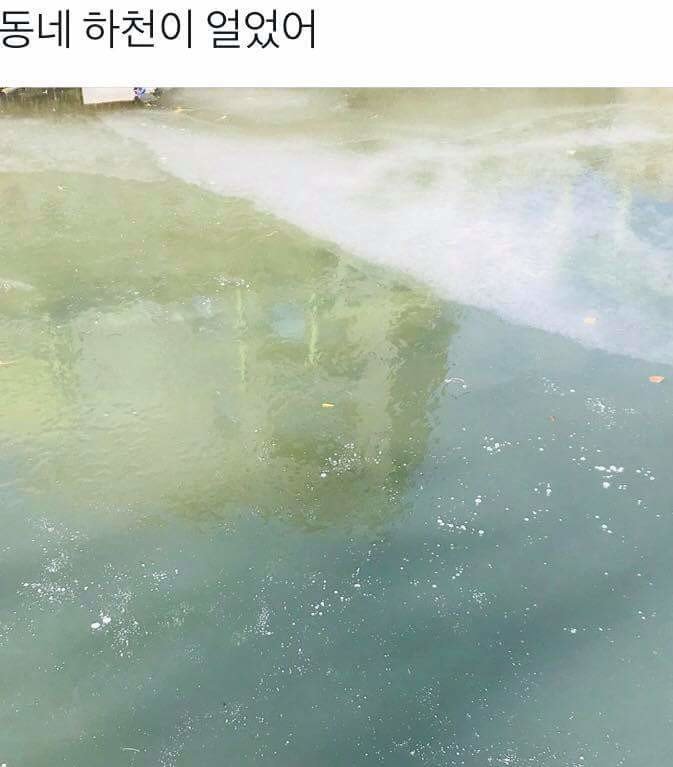 지금 한국 상황10