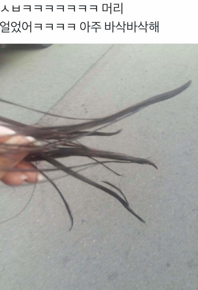 지금 한국 상황3