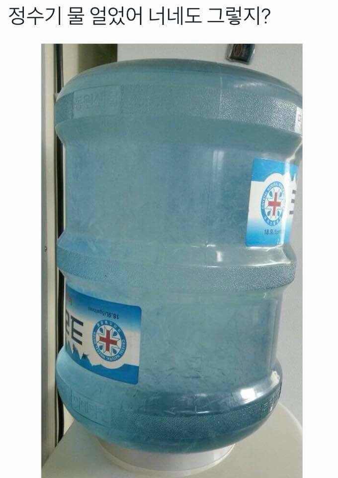 지금 한국 상황4