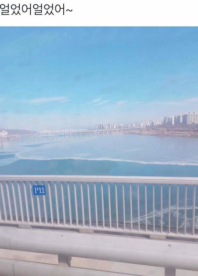 지금 한국 상황9