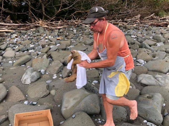 나무늘보의 구사일생.jpg2