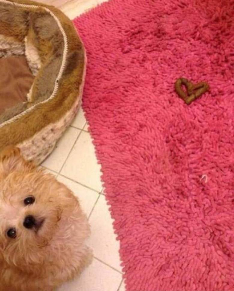 (약혐)사랑해요 주인님.jpg1