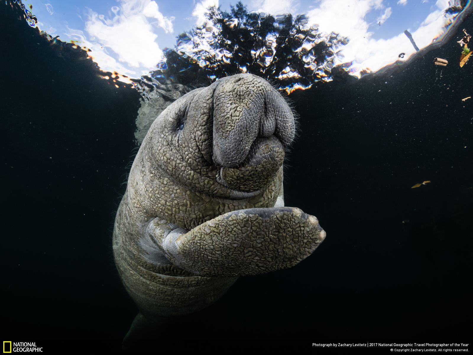 내셔널 지오그래픽 사진100