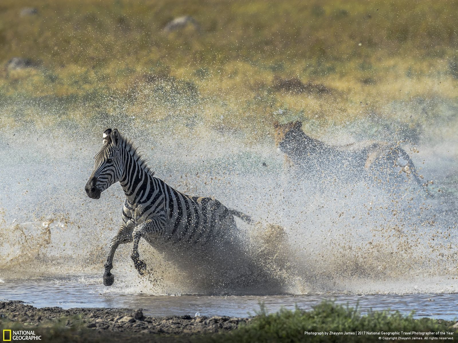 내셔널 지오그래픽 사진101