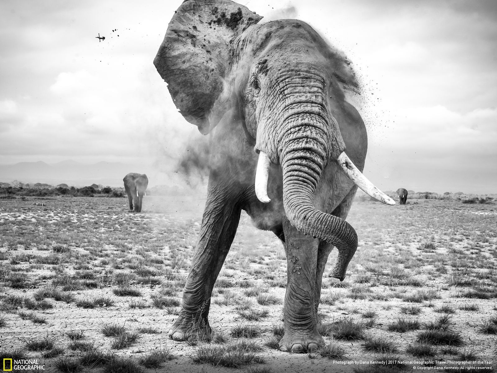 내셔널 지오그래픽 사진115