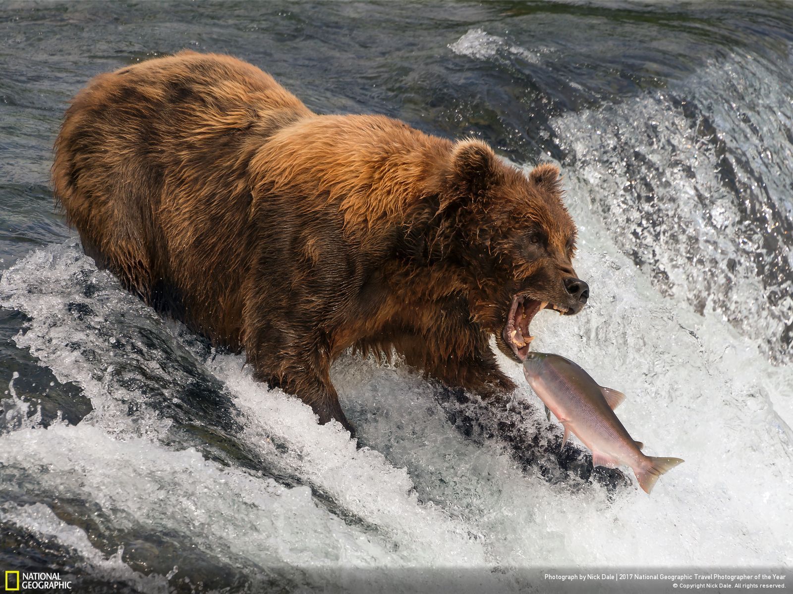 내셔널 지오그래픽 사진16