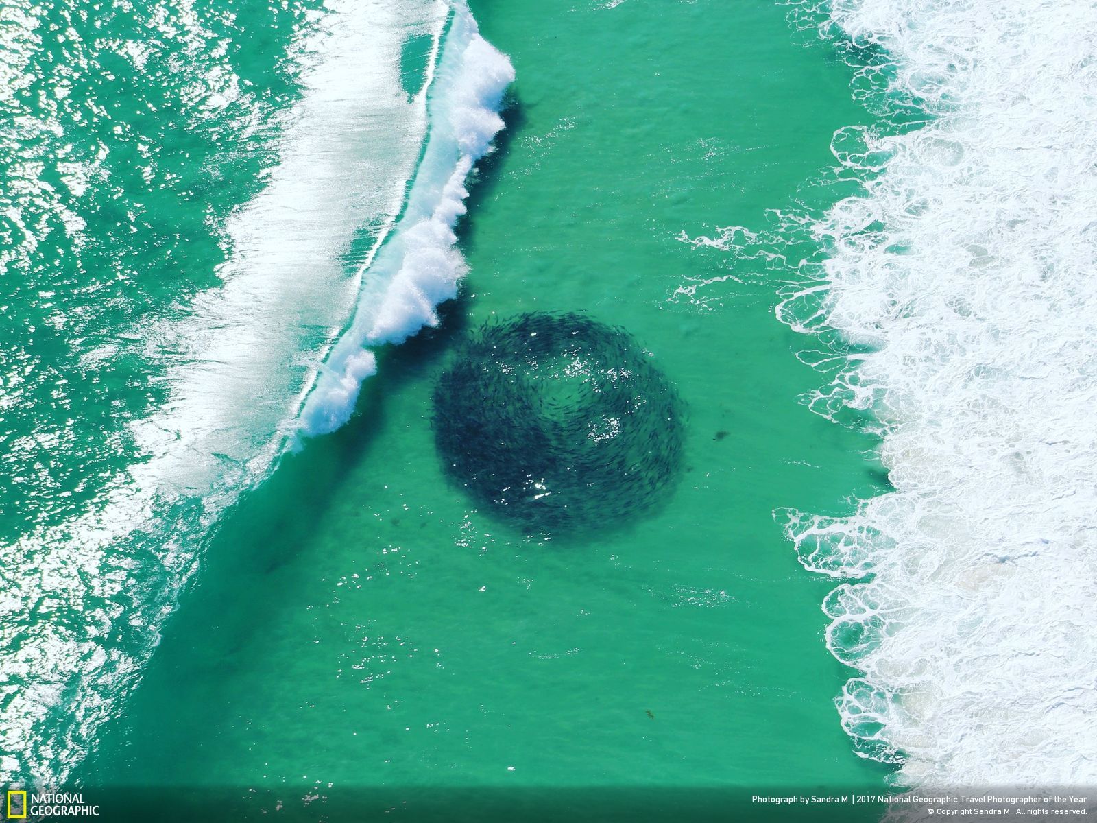 내셔널 지오그래픽 사진17