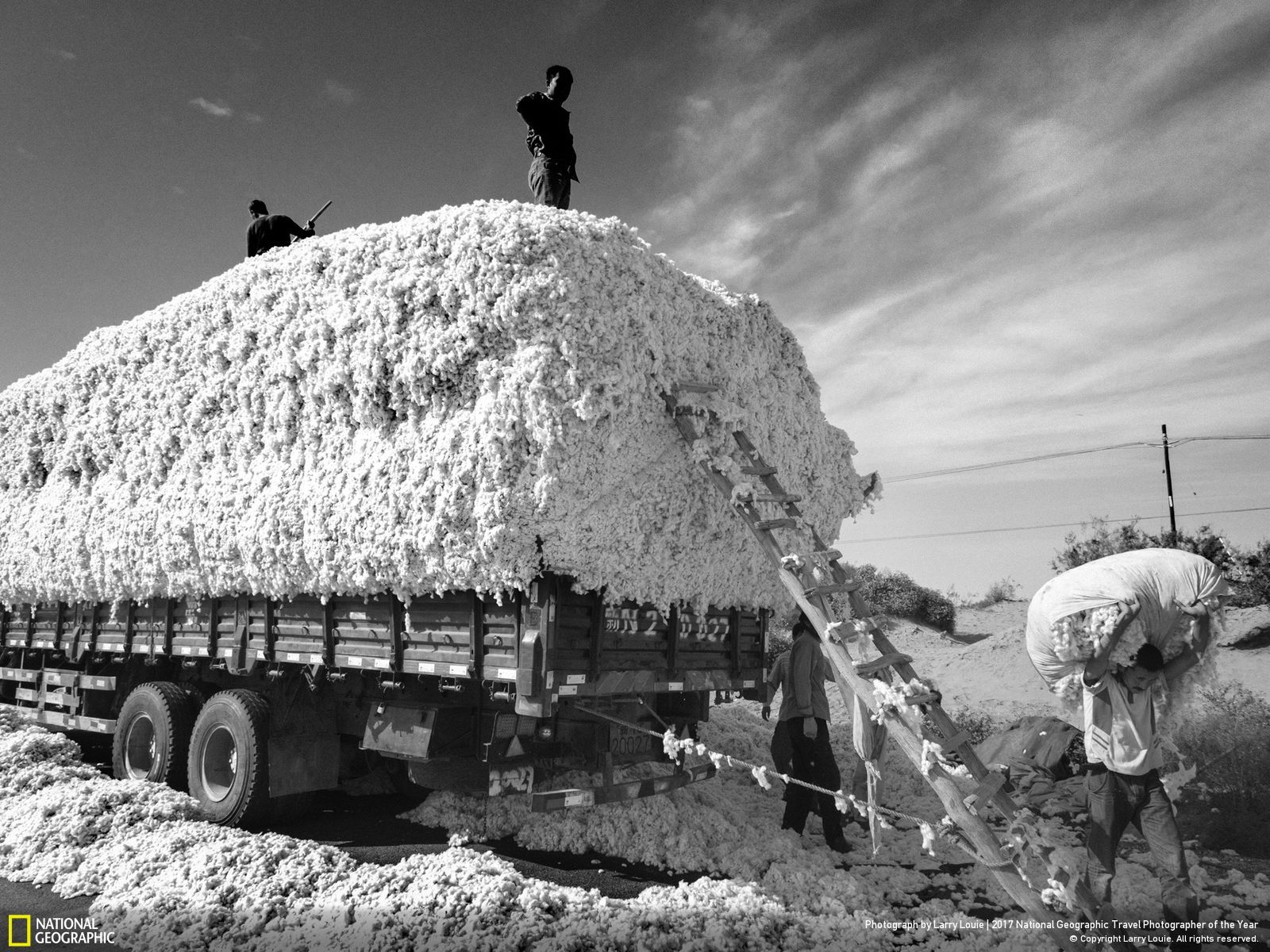 내셔널 지오그래픽 사진26