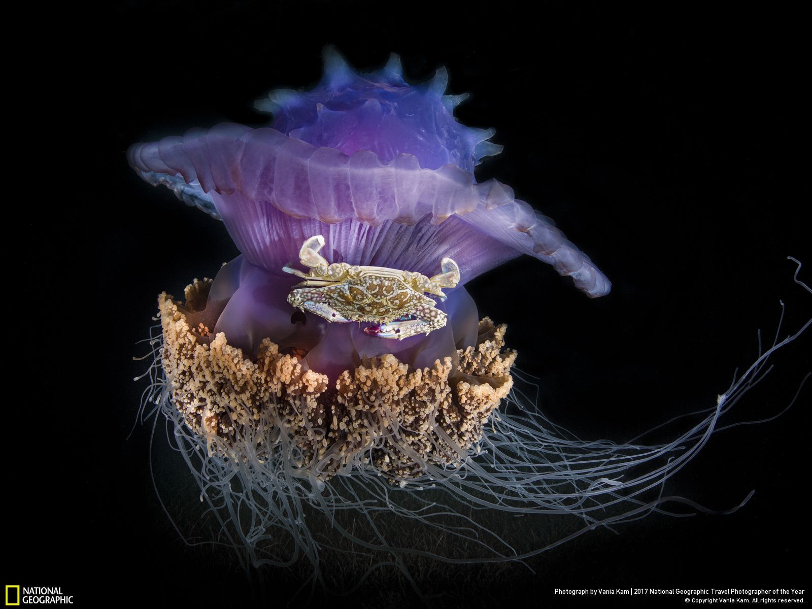 내셔널 지오그래픽 사진29