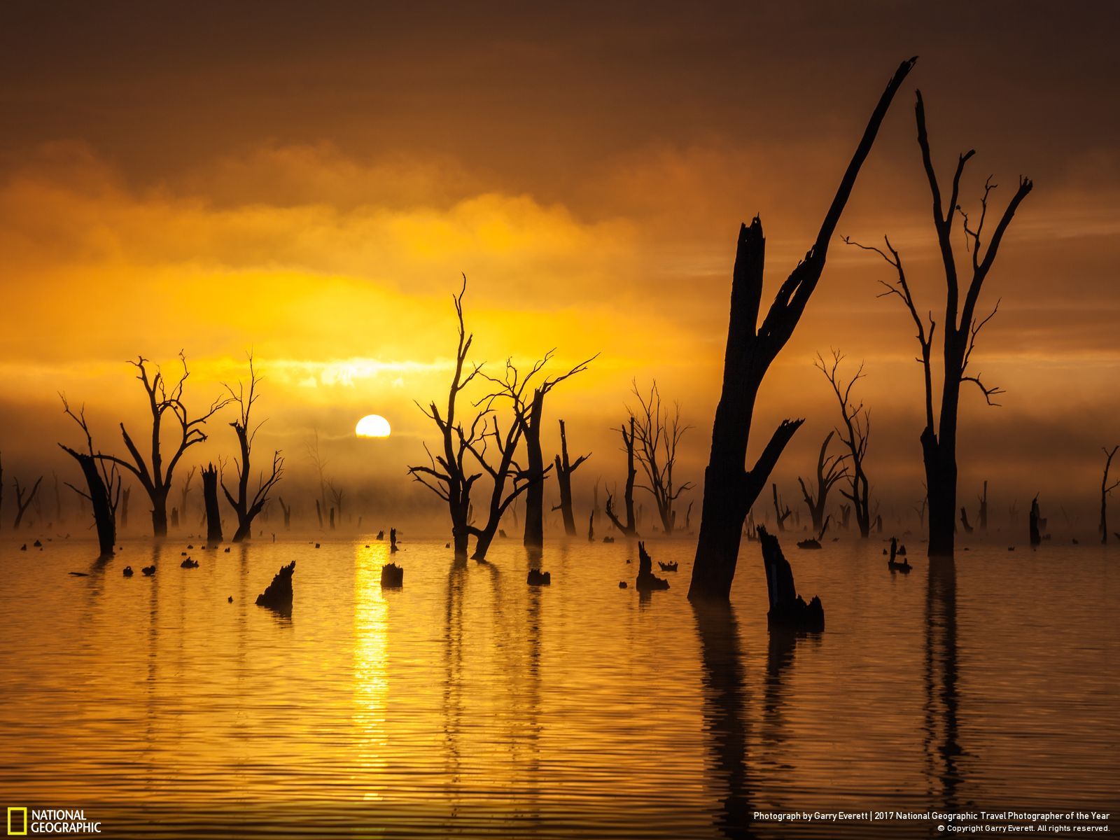 내셔널 지오그래픽 사진3