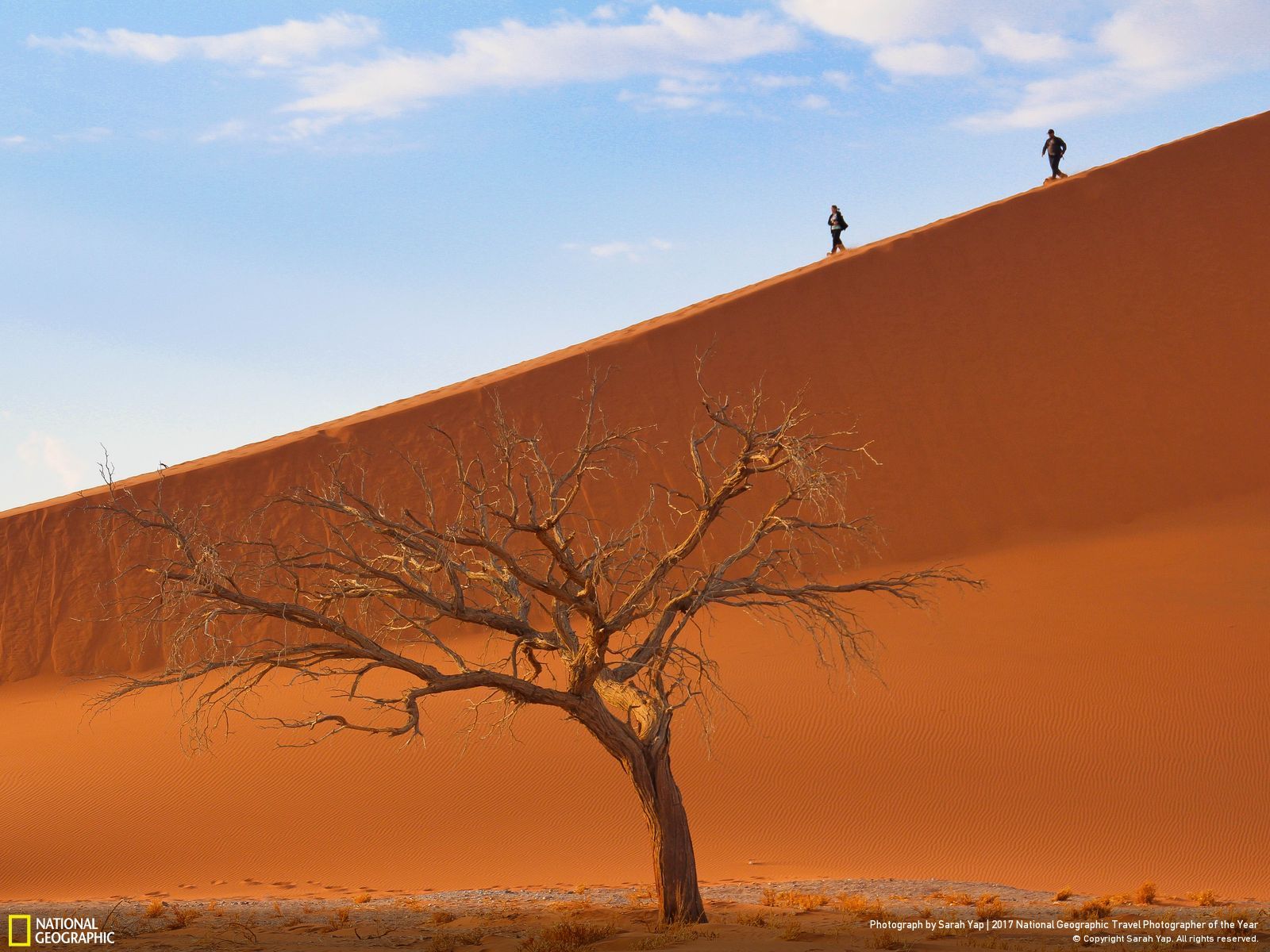 내셔널 지오그래픽 사진37