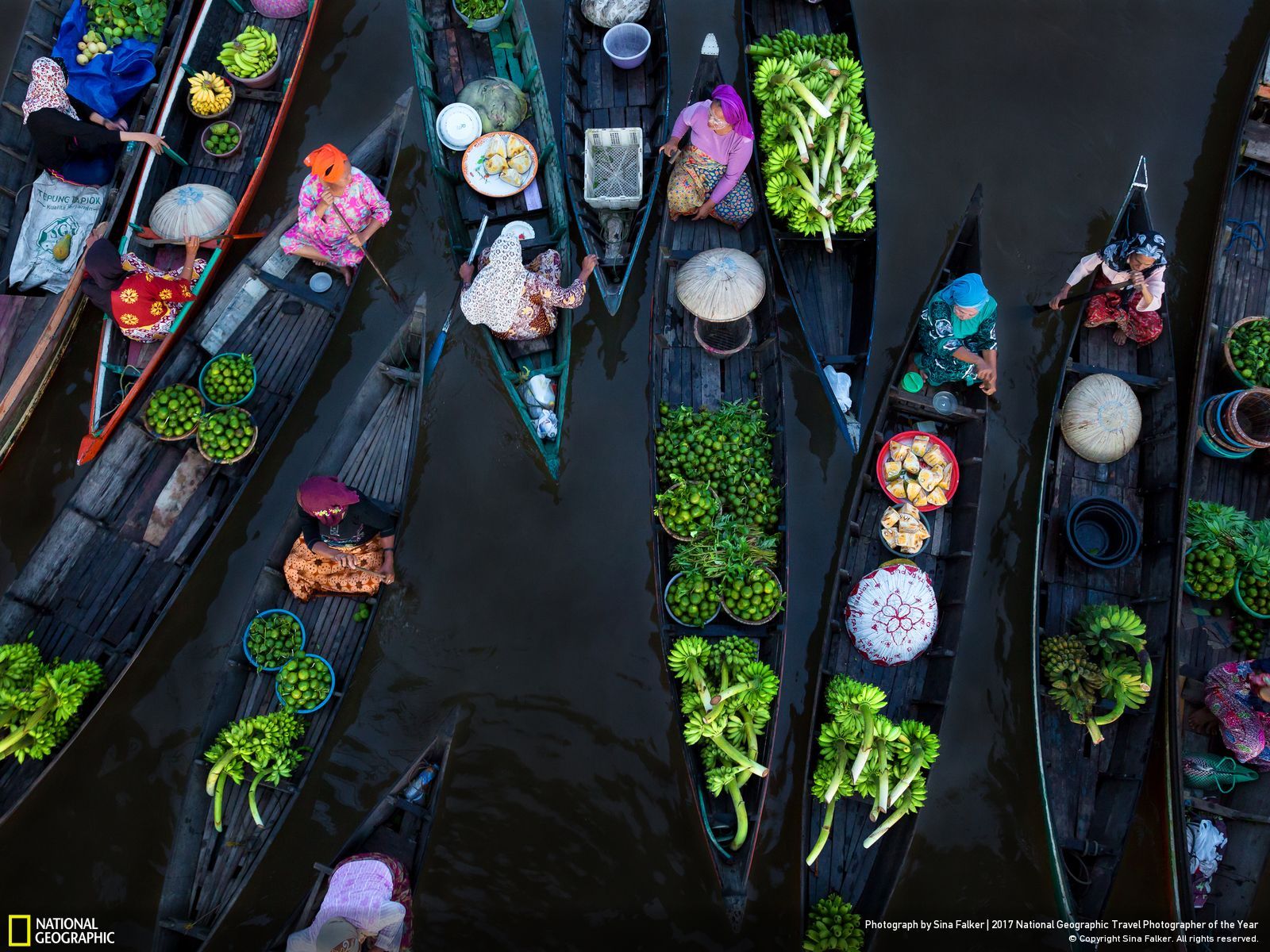 내셔널 지오그래픽 사진38