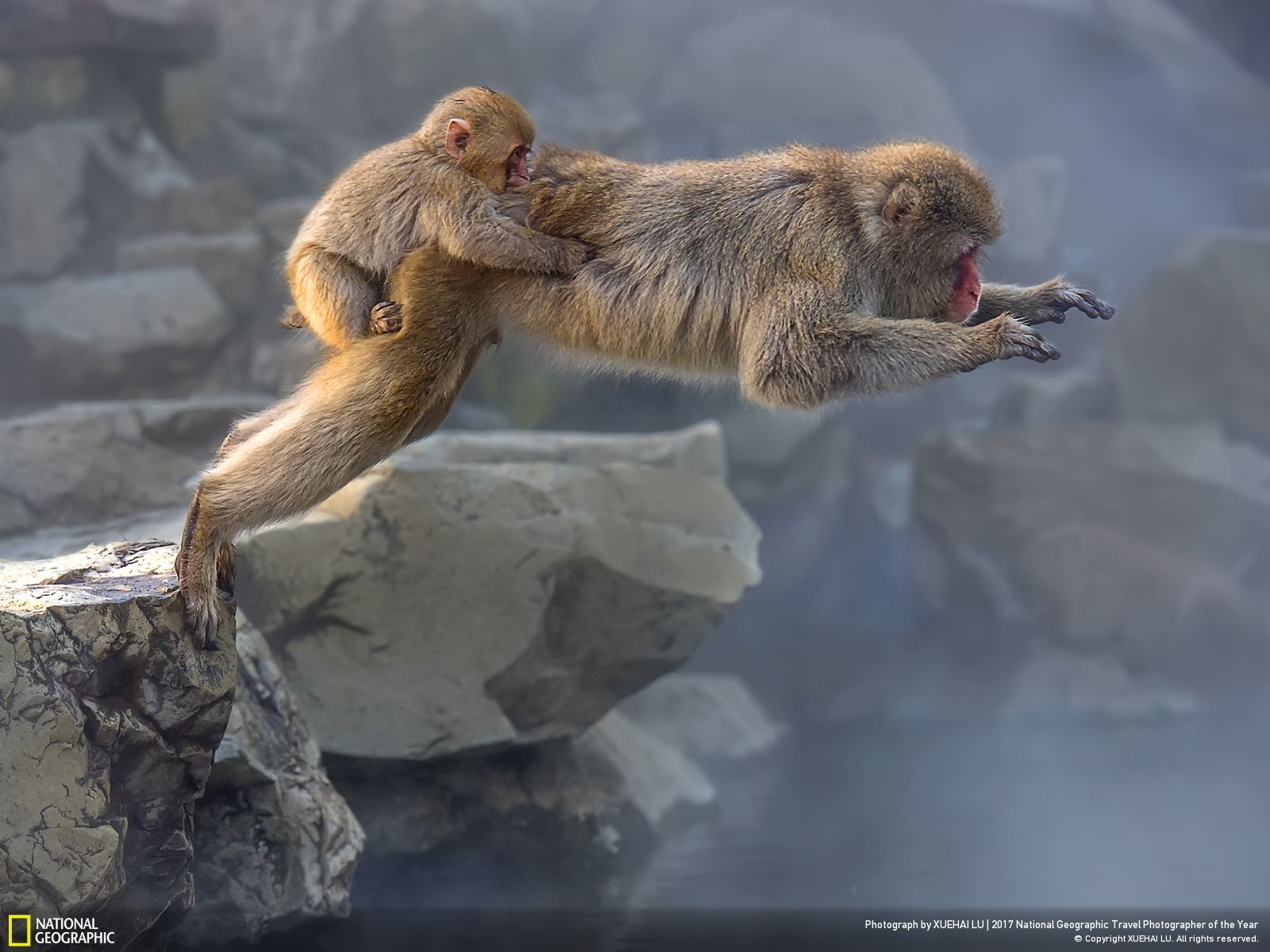 내셔널 지오그래픽 사진4