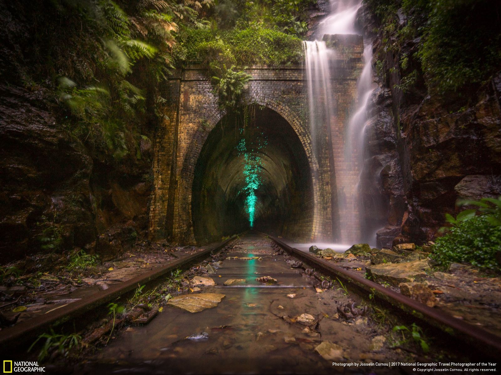 내셔널 지오그래픽 사진40