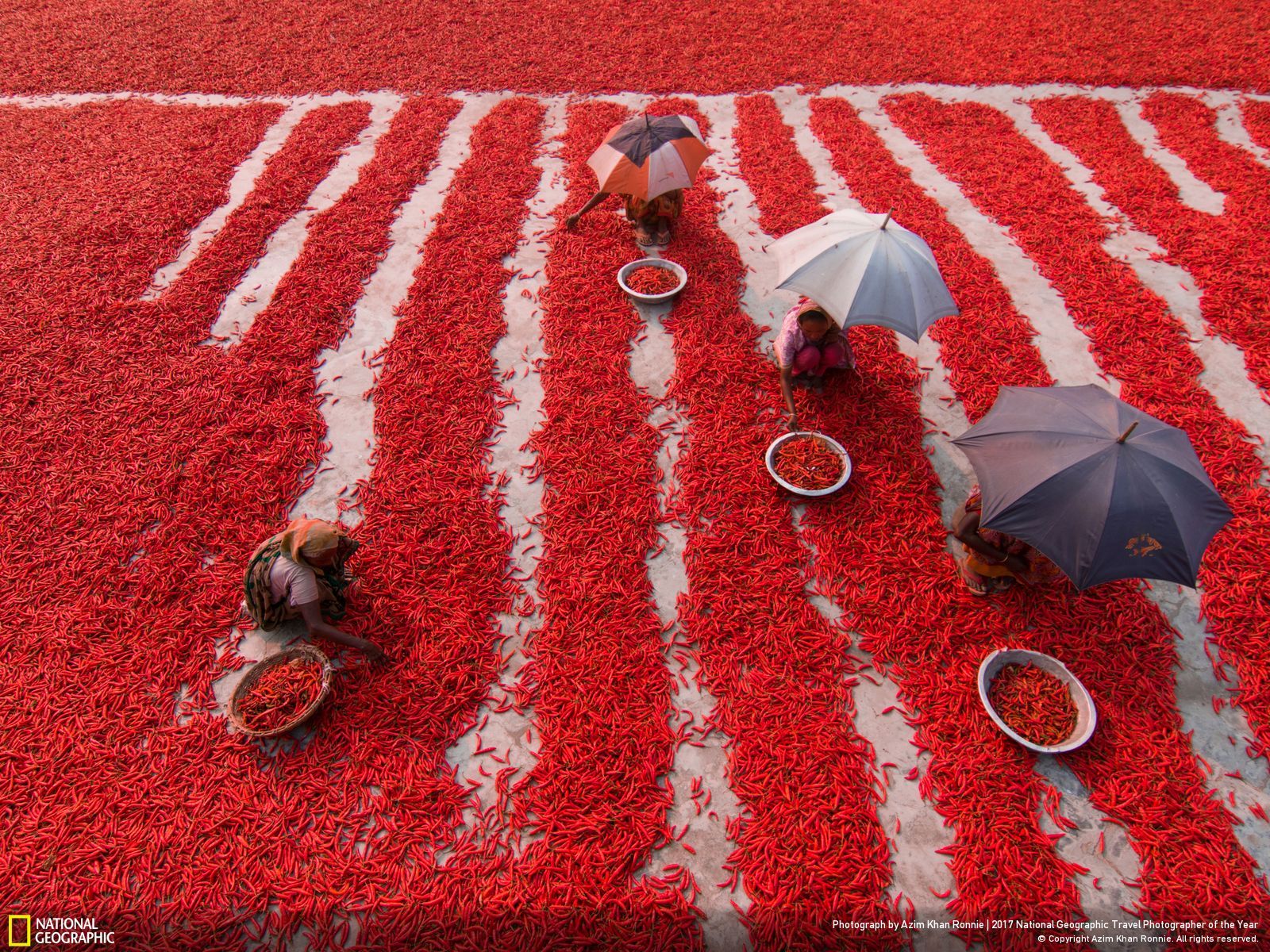 내셔널 지오그래픽 사진51