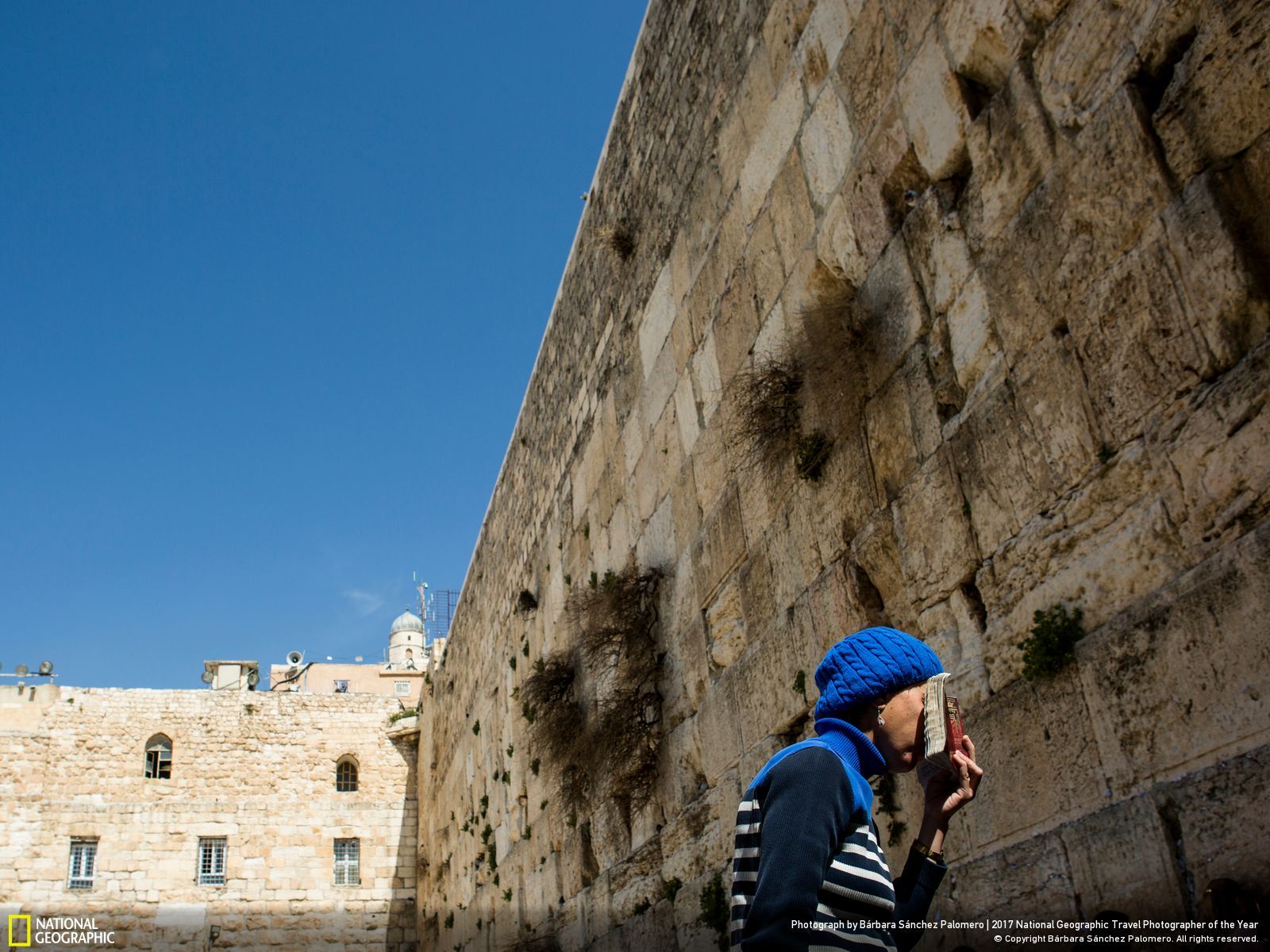 내셔널 지오그래픽 사진6