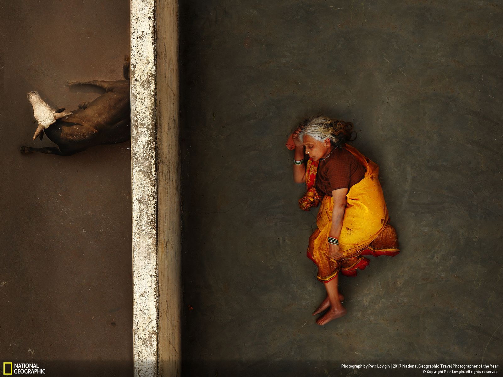 내셔널 지오그래픽 사진76