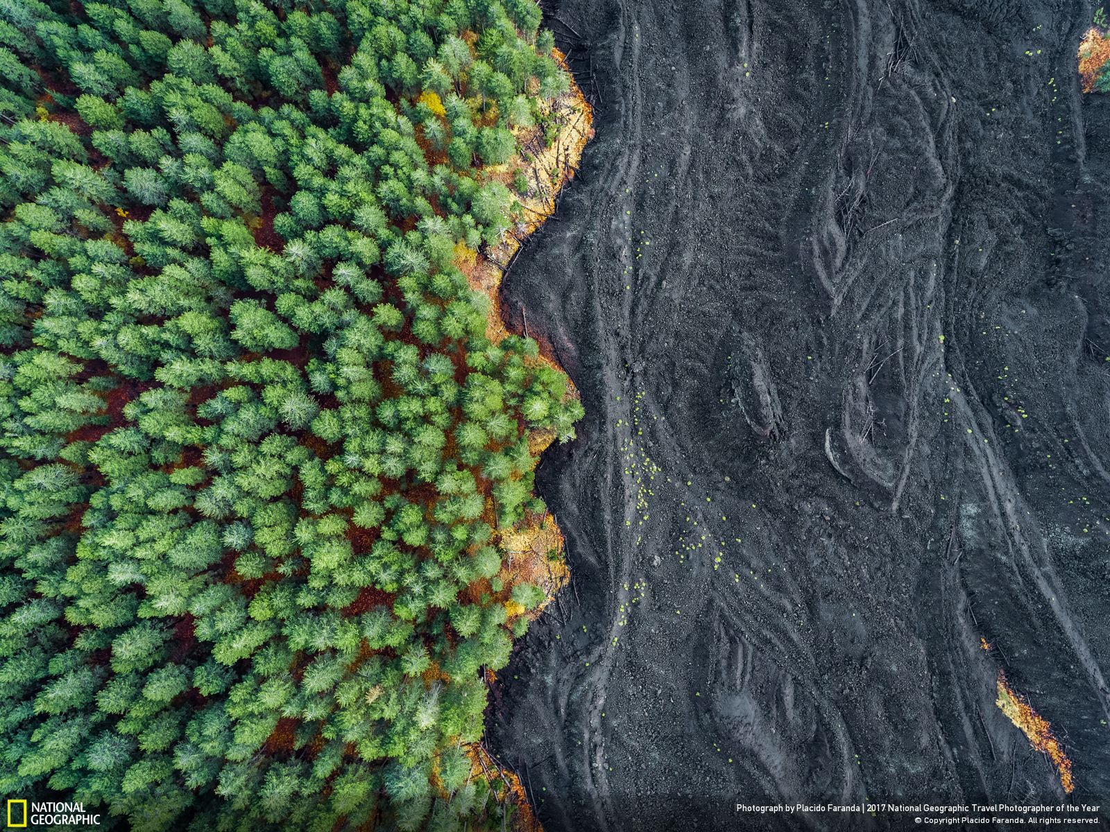 내셔널 지오그래픽 사진79