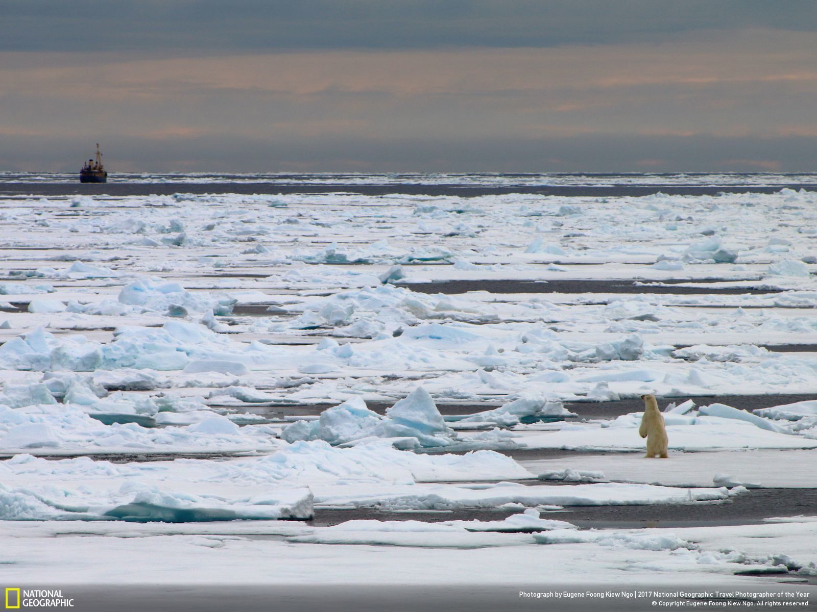 내셔널 지오그래픽 사진81