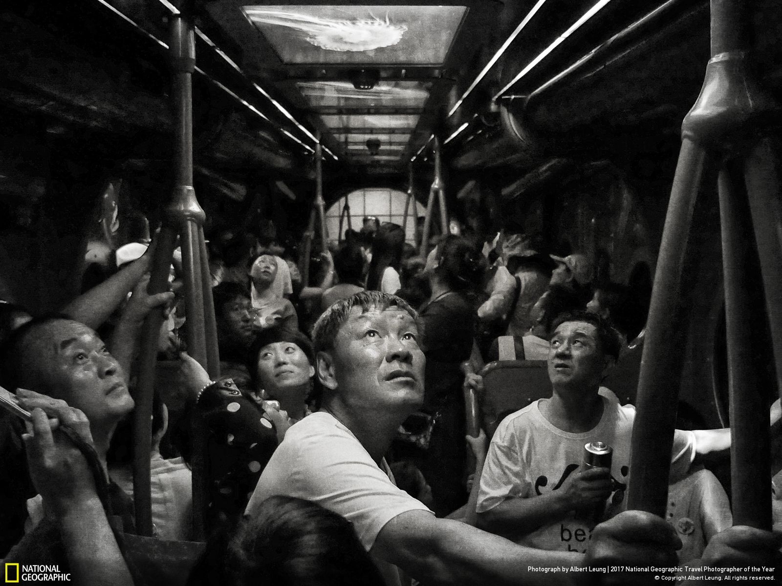 내셔널 지오그래픽 사진83