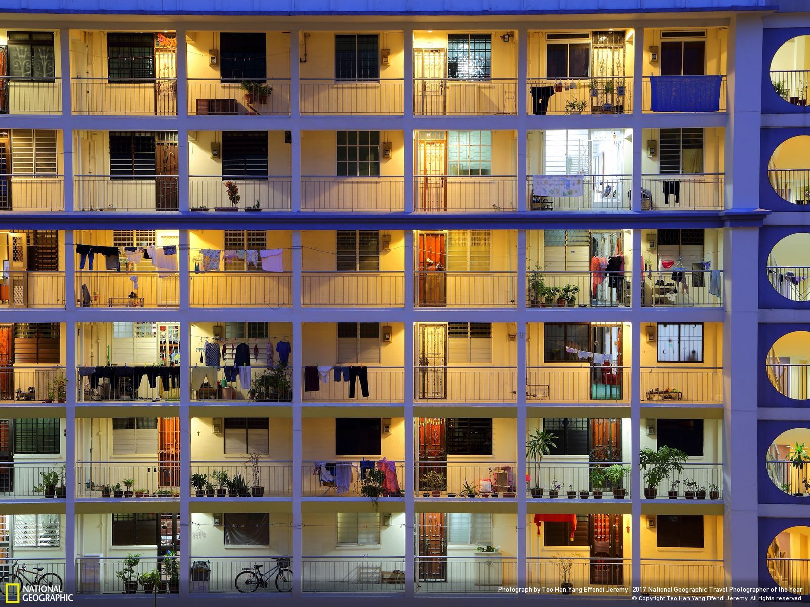 내셔널 지오그래픽 사진99