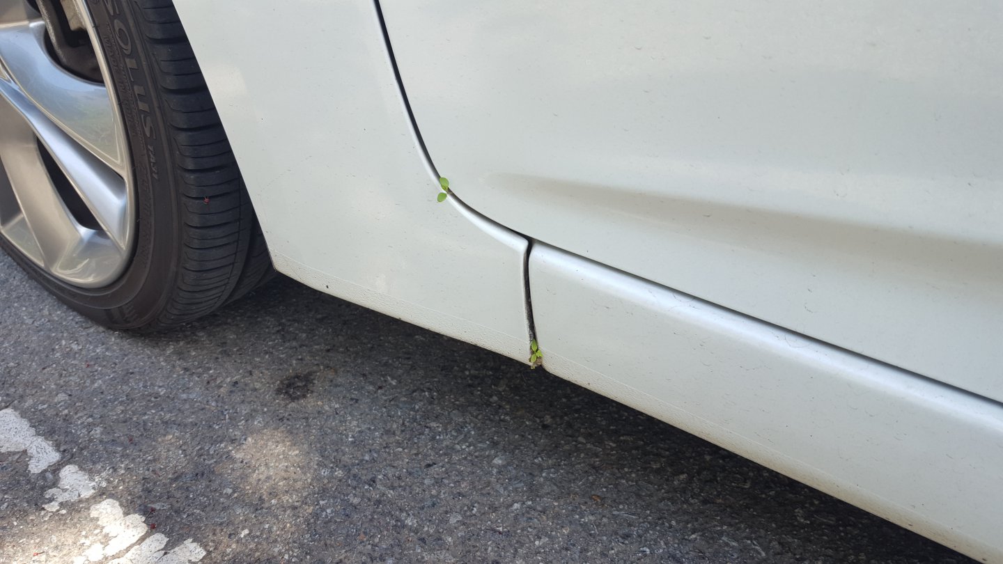 내가 신기한걸 보여주지~1