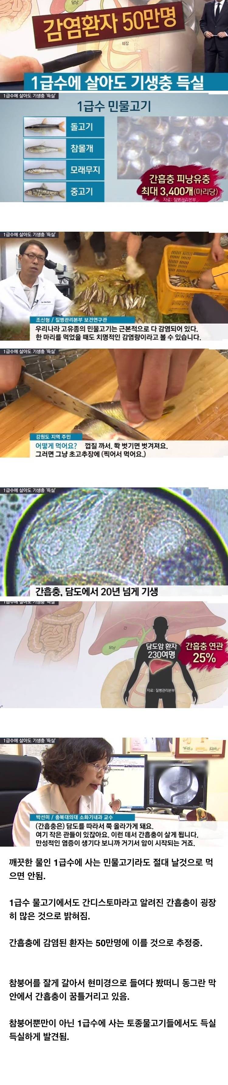 한국인 50만명 감염.jpg1