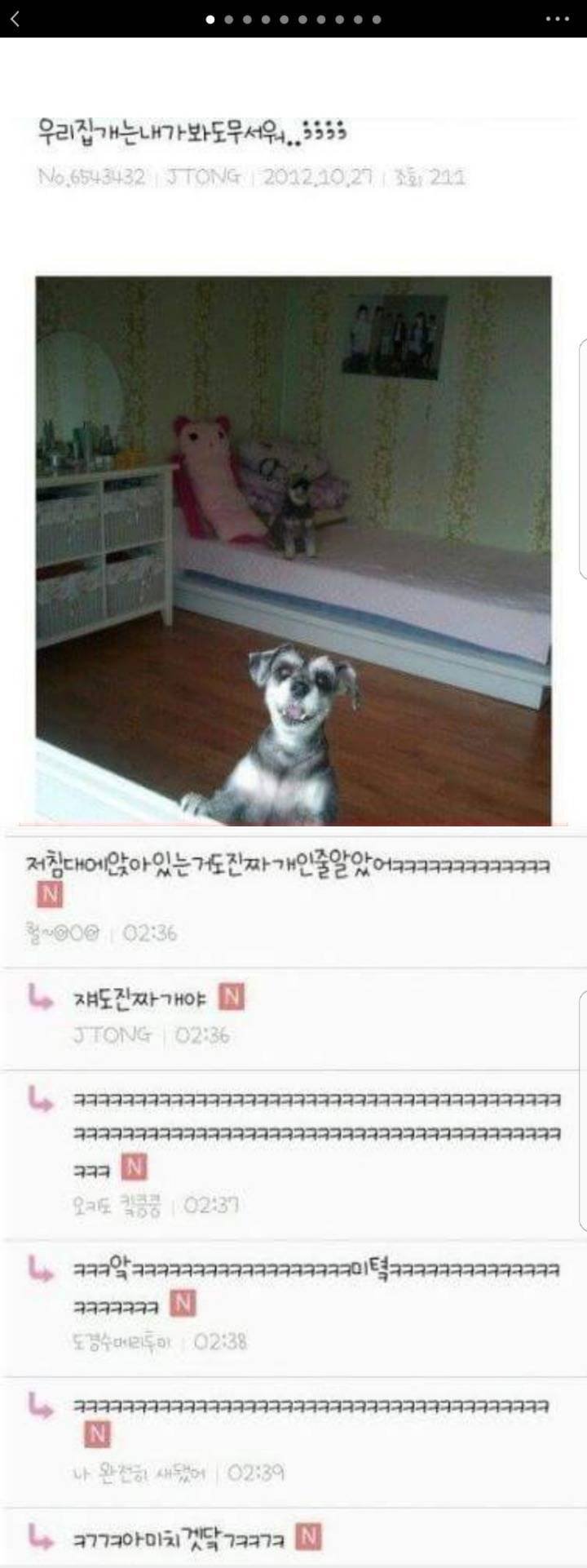 주인이 봐도 무서운 댕댕이1