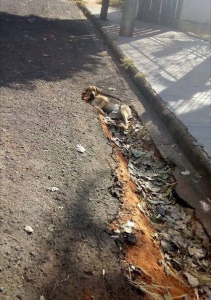 여기가 지구인가...?1