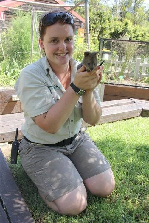 호주에만 서식하는 동물.jpg6