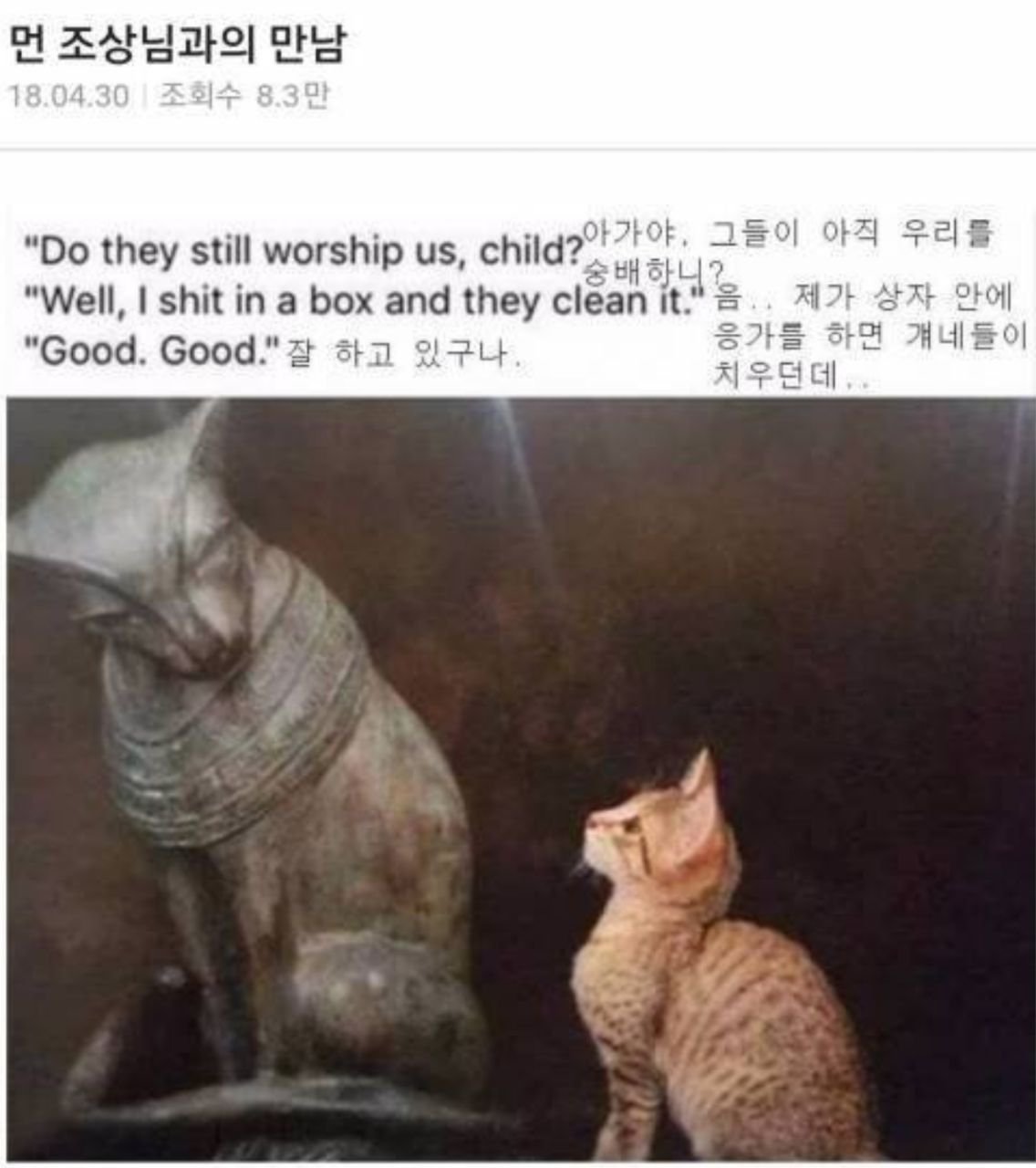 먼 조상님과의 만남1