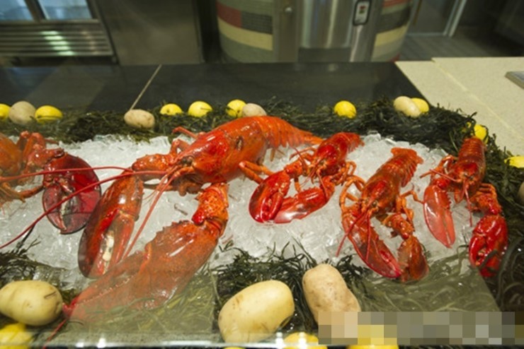 하버드의 학식.jpg4