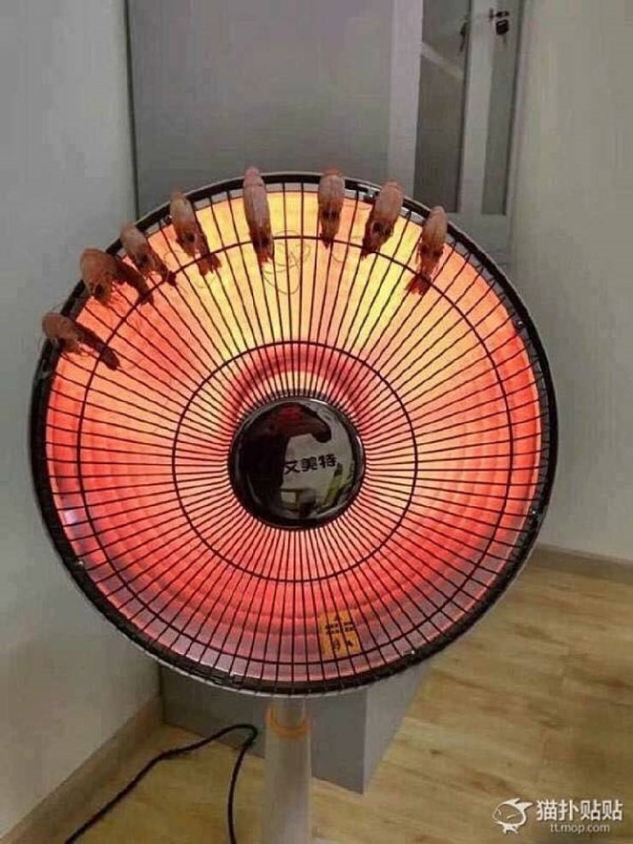 나태의 새우구이.jpg2