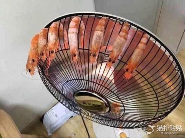 나태의 새우구이.jpg3