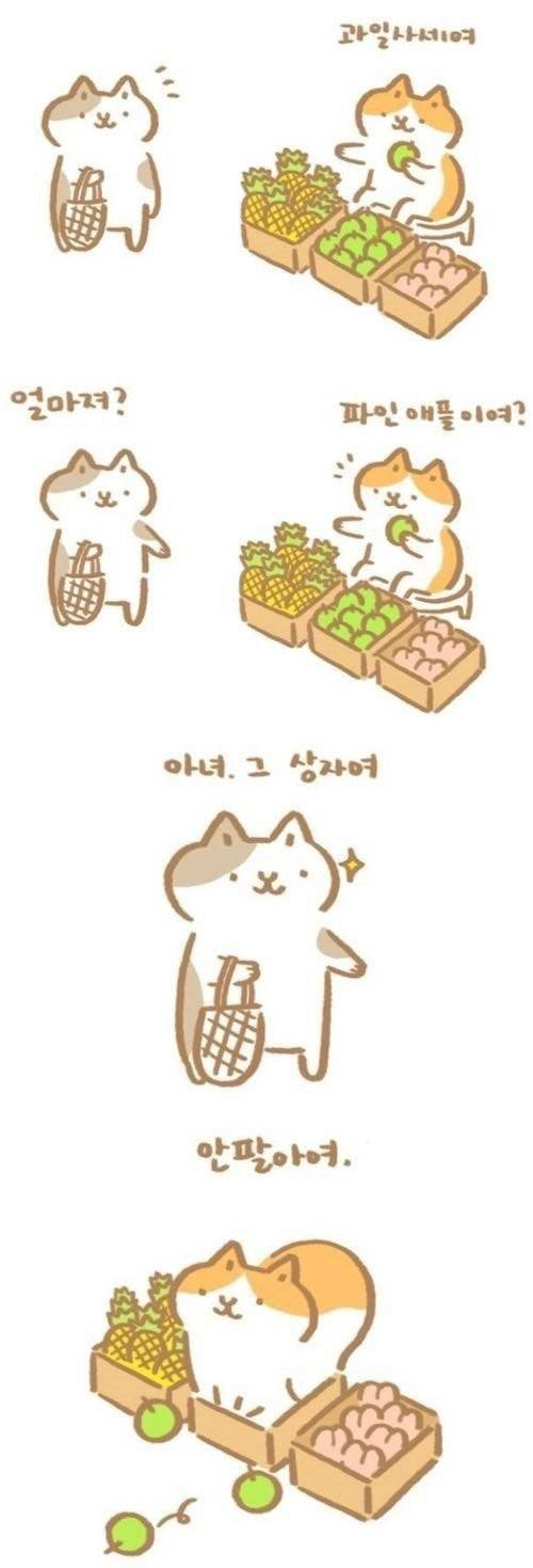 과일가게냥.jpg1
