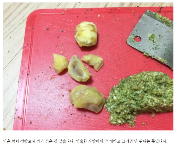 요리 블로거.jpg2