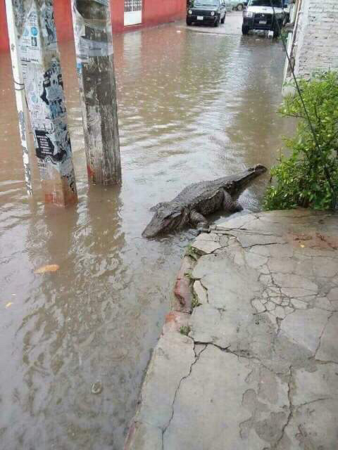 베트남 현재.jpg1