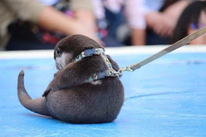 치명적인 뒤태1