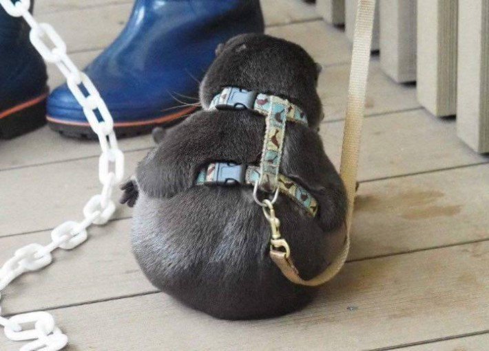 치명적인 뒤태2