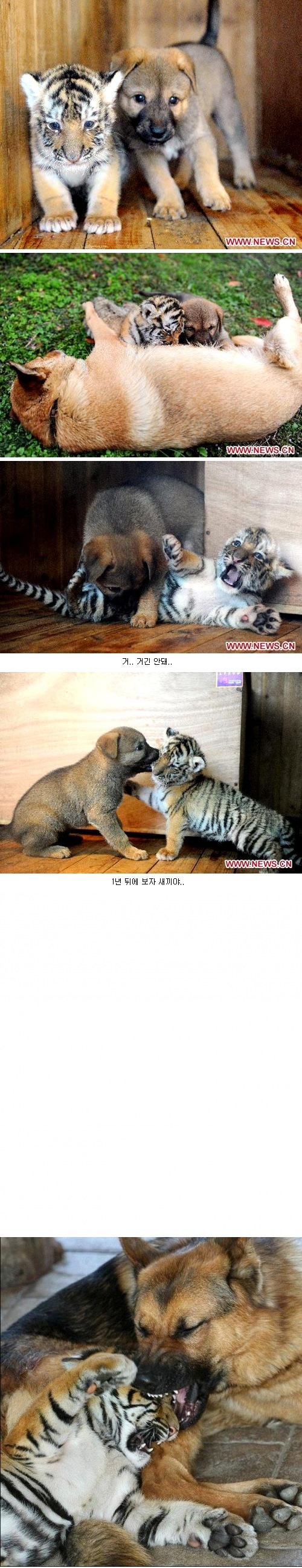 전학간 학교에서 짱 먹으려다가 실패.jpg1