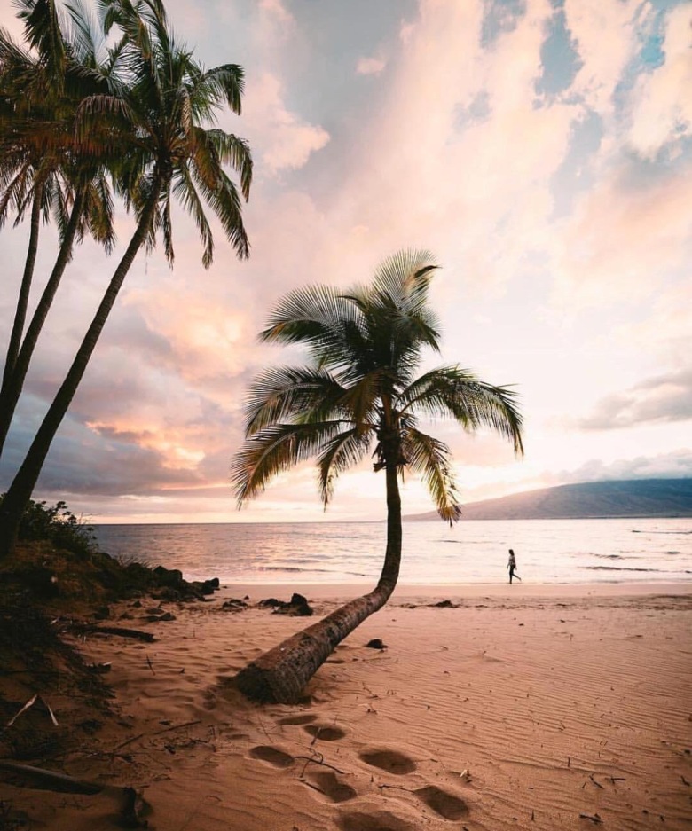 니가 가라 하와이.jpg1