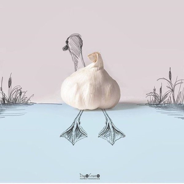 일상 속 물건들의 새로운 발견3