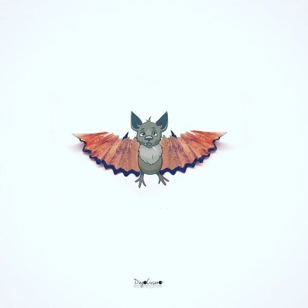 일상 속 물건들의 새로운 발견5