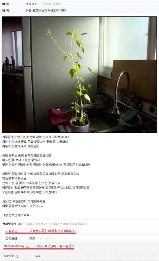 교과서에도 실린 식물갤 명언.jpg1