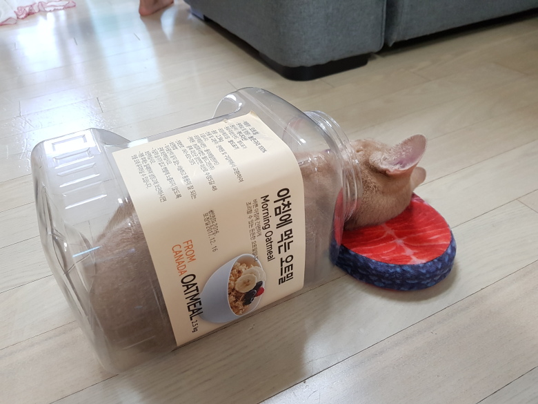 집사야 따뜻하구나1