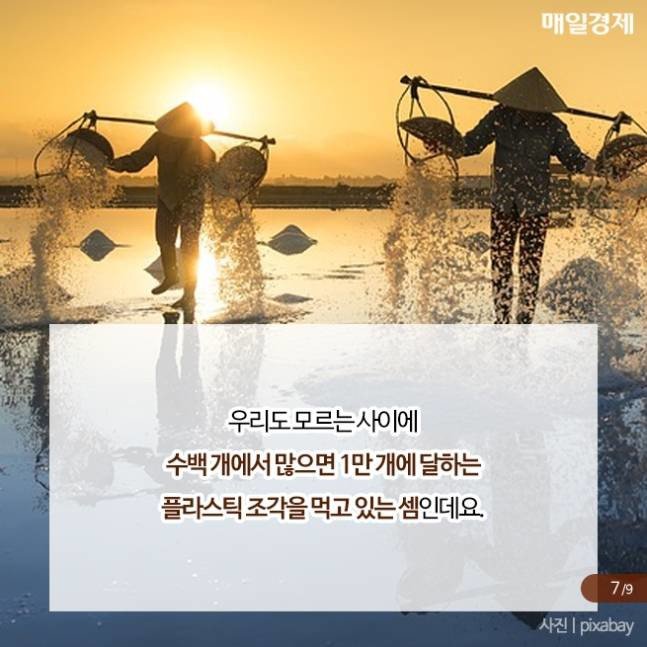국내 천일염에서 발견된 물질8