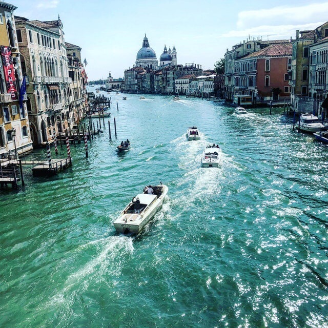 배니스의 아침.jpg1